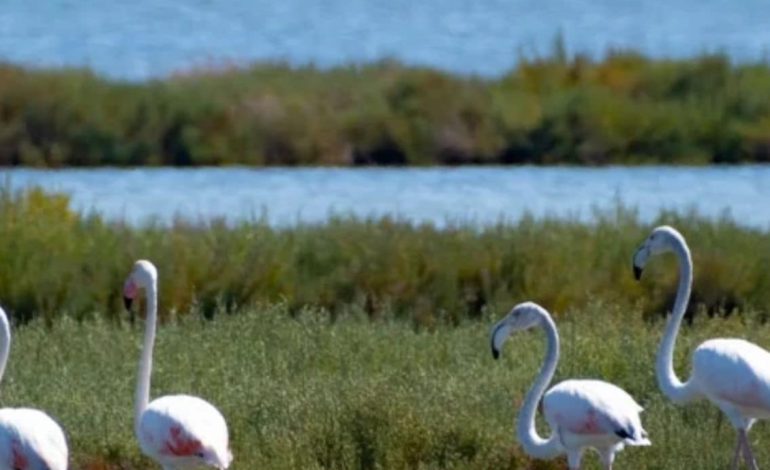 FOTOT/ “Shqipëria përtej plazheve e rërës”, Rama ndan artikullin për turizmin nga ‘Wanderlust’: Larmi traditash dhe diversiteti kulturor