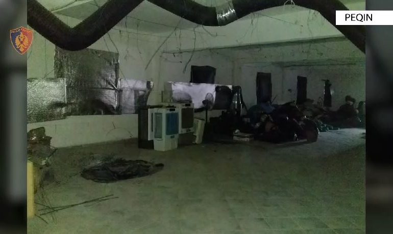 Zbulohet magazina e kanabisit, dy të arrestuar, mes tyre edhe drejtori i OSHEE në Peqin