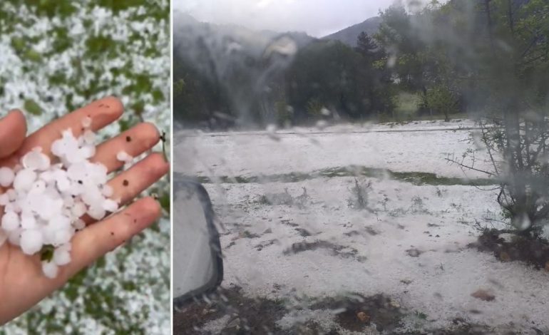 Breshër i pazakontë në Korçë, shkatërron kulturat bujqësore dhe pemët frutore