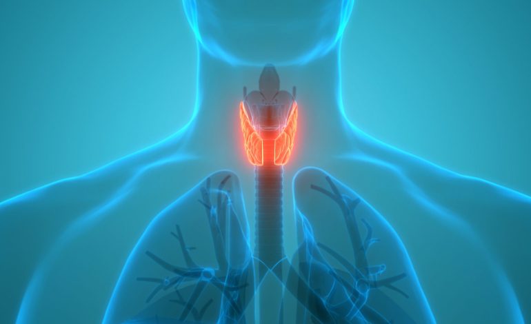 5 Mënyra se si Mund të Përmirësoni Shëndetin e Tiroides