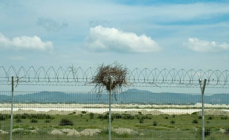Infrastruktura e aeroportit të Vlorës mbulohet nga foletë e zogjve që rrezikohen prej tij