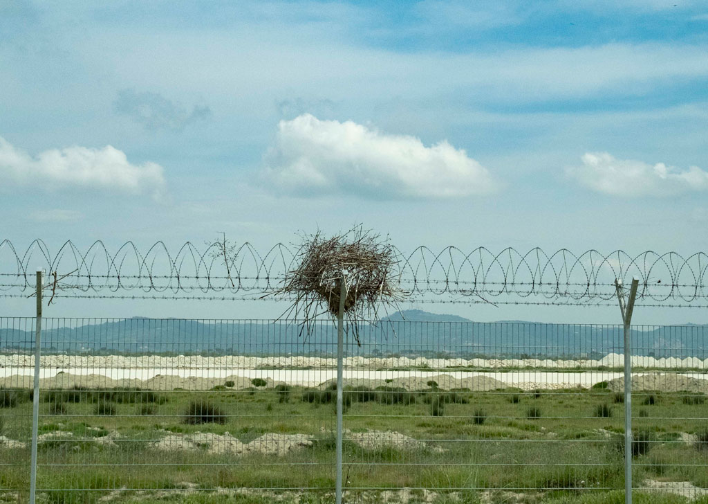 Infrastruktura e aeroportit të Vlorës mbulohet nga foletë e zogjve që rrezikohen prej tij