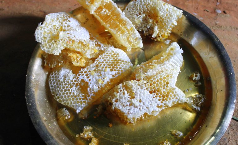 Llojet e Mjaltit dhe Përfitimiet për Shëndetin