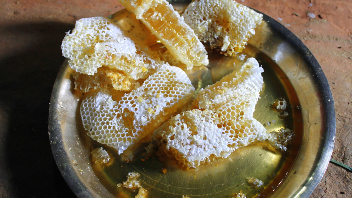 Llojet e Mjaltit dhe Përfitimiet për Shëndetin