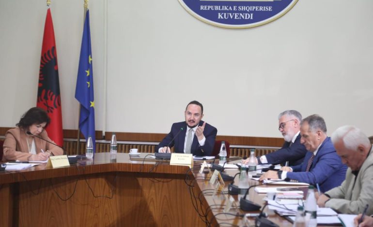 Debat për dëshmitarët te ‘TIMS-i”/ Gogu: Të marrim vendime për secilin dëshmitar! Salianji: Të vijë Kryeministri, për Muçën të dërgojmë kërkesën në Prokurori