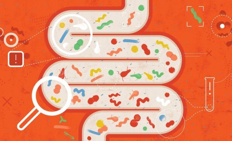 Sekretet e Mjekësisë për Tretjen e Përsosur të Ushqimit