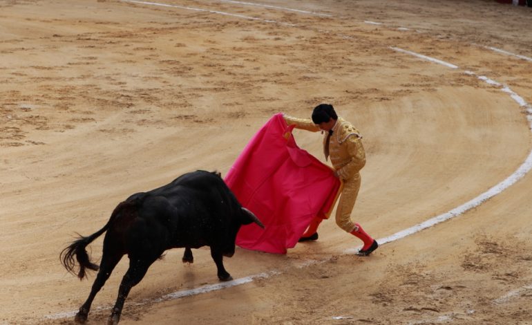 “Kolumbia del nga lista e trishtuar ku torturimi i kafshëve, konsiderohej element i kulturës”, Parlamenti i vendit ndalon ndeshjet me dema