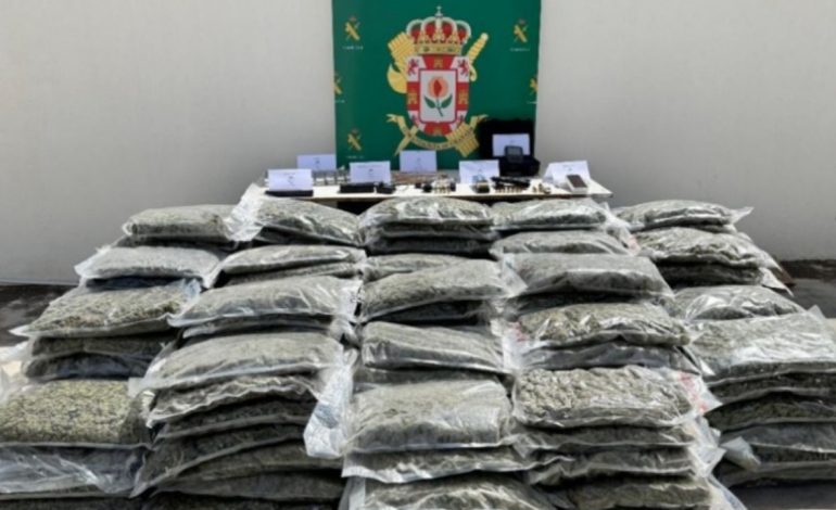 Mijëra rrënjë kanabisi dhe 190 kg drogë, arrestohet shqiptari dhe bashkëpunëtori i tij spanjoll! “Fatura e dritave” i nxori zbuluar