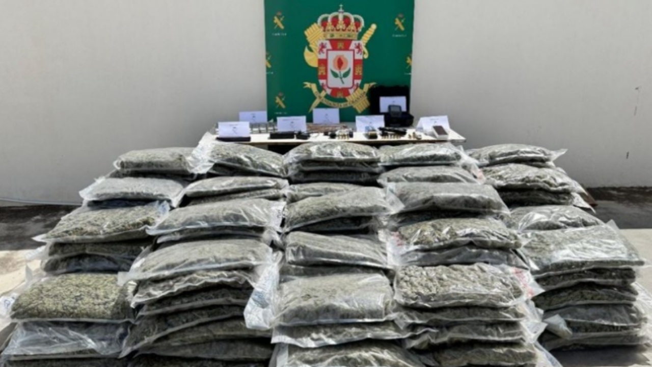 Mijëra rrënjë kanabisi dhe 190 kg drogë, arrestohet shqiptari dhe bashkëpunëtori i tij spanjoll! “Fatura e dritave” i nxori zbuluar