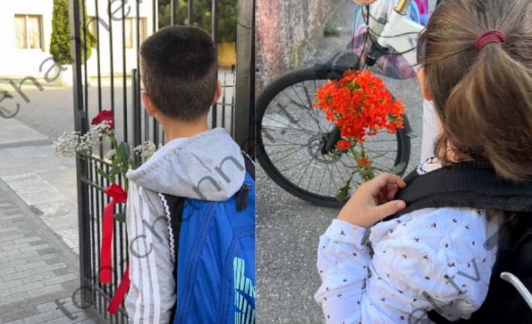 Tragjedia në Shkodër, të miturit vendosin lule në bankën e shoqeve të klasës që u mbytën në Bunë! Kushërira e Alma Arrazit: Nuk ia shpjegoj dot vajzës çfarë ndodhi