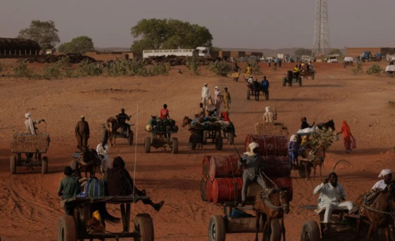 “Njerëzit po ushqehen me bar dhe lëvozhga kikiriku”, OKB: Kriza e urisë ka përfshirë Sudanin e shkatërruar nga lufta