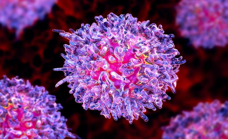 Si të Dalloni Shenjat Paralajmëruese të Sëmundjeve të Gjakut