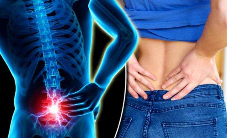 Muskuli që Mbron Shëndetin e Trupit dhe Mendjes – Si Ndikon në Organizëm