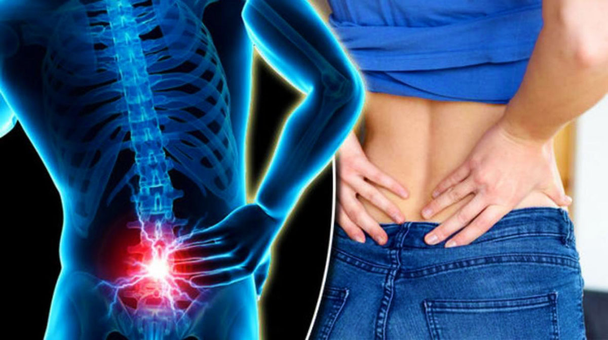 Muskuli që Mbron Shëndetin e Trupit dhe Mendjes – Si Ndikon në Organizëm