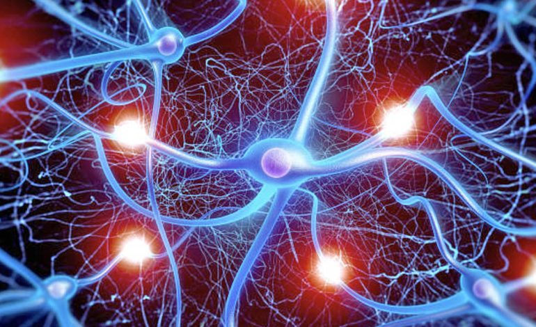 Çfarë e Shkakton Plakjen e Trurit – Mënyrat më të Mira për Mendje të Mprehtë