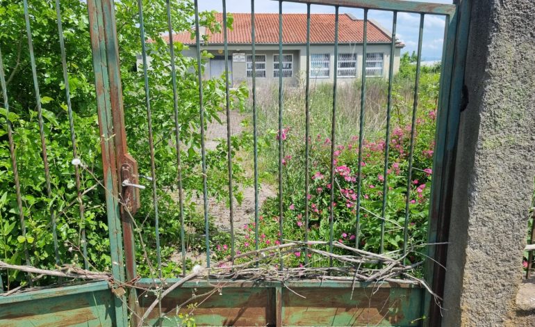 Rënie e pandalshme: Emigrimi kyç dhjetëra shkolla në qarkun e Shkodrës