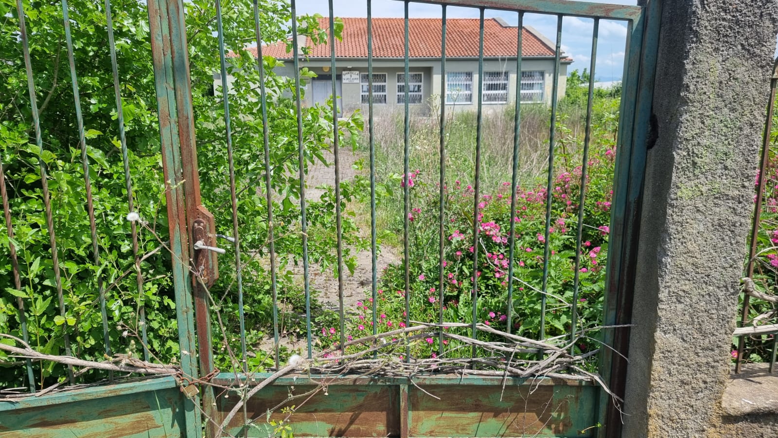 Rënie e pandalshme: Emigrimi kyç dhjetëra shkolla në qarkun e Shkodrës