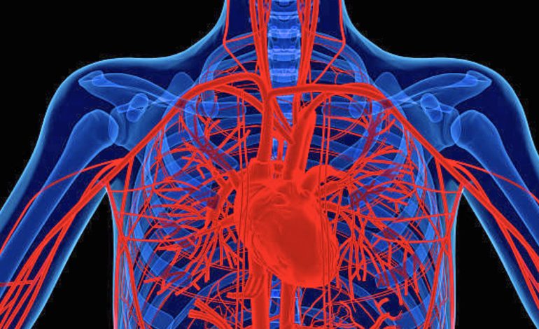 Dhimbjet e Pashpjegueshme të Muskujve – Arsyet Shëndetësore Pse Ndodhin