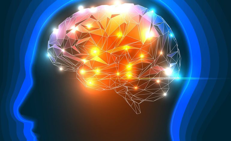 Çfarë Është Stërvitja e Mendjes – Si ta Praktikoni?