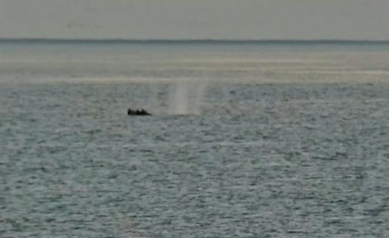 Ukraina godet Rusinë me dronë, publikohen momentet e tmerrit! Shënohen viktima