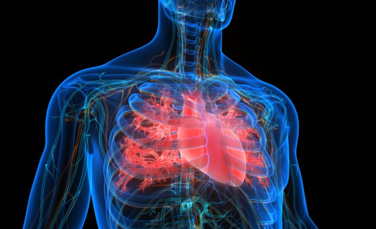 Faktori i Ri që Rrit Rrezikun e Sëmundjeve të Zemrës