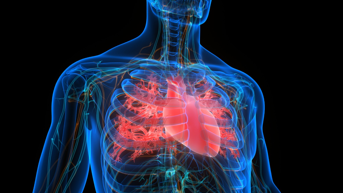 Faktori i Ri që Rrit Rrezikun e Sëmundjeve të Zemrës