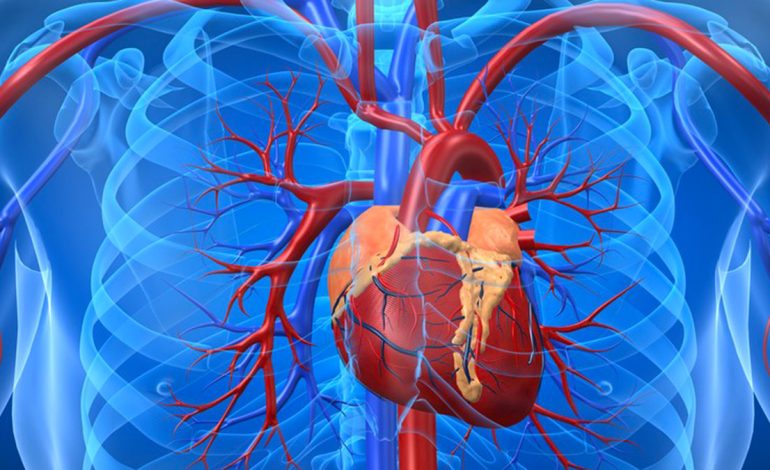 Dallimi Midis Diabetit të Tipit 1 dhe 2 – Cili Rrezikon më Shumë Zemrën