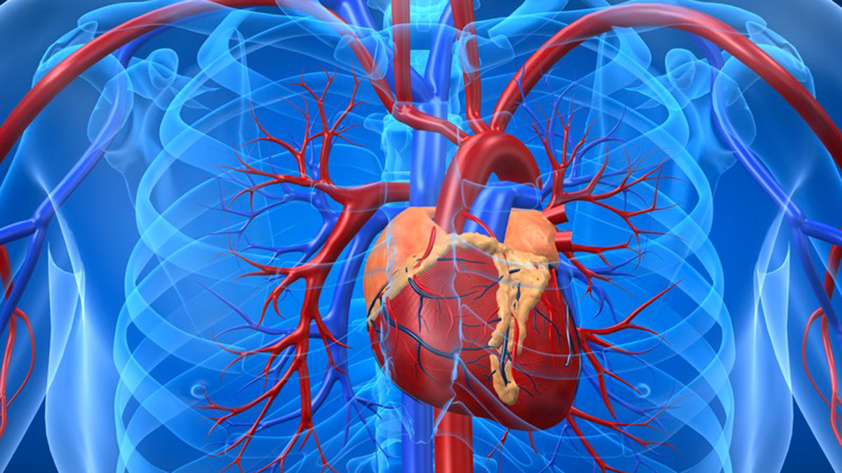 Dallimi Midis Diabetit të Tipit 1 dhe 2 – Cili Rrezikon më Shumë Zemrën