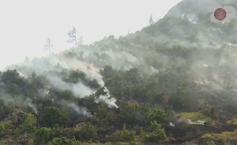 Inside Story/ Të gjitha të qëllimshme, kush i vë zjarret në bregdet gjatë sezonit veror?!