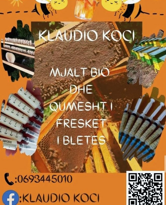 Pse qumeshti i bletës është ilaçi më i mirë për shumë probleme me shëndetin e njeriut! Ja sëmundjet që kuron!