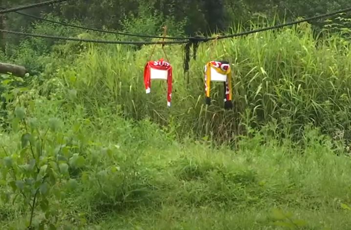 Zvicër vs Gjermani, “orakulli” Walter parashikon ndeshjen/ Ja kush fiton – Balkanweb.com – News24