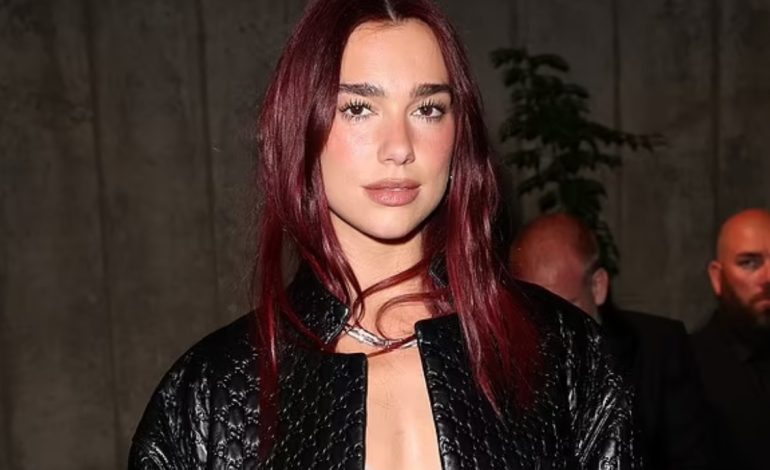 Doli në mbrojte të Gazës, Dua Lipa: Është vendim i madh, jam përgatitur të marr goditje nga…
