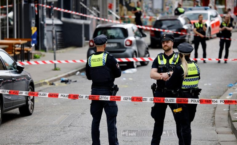 Pak para ndeshjes Poloni-Holandë, policia gjermane qëllon me armë një person qe kërcënonte me sëpatë