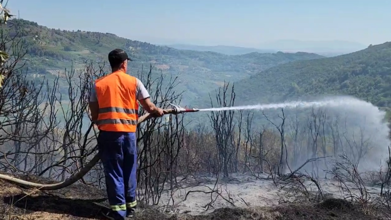 Zjarr masiv në Fier/ Flakët përfshijnë kodrat me ullishte, 6 mjete zjarrfikëse në zonë
