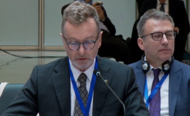 “Procesi i anëtarësimit në BE është i gjatë dhe teknik”, Gonzato: Kërkon punë për të arritur standardet