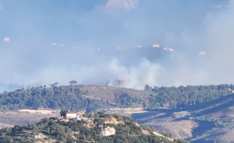 Zjarr i fuqishëm në Stamata të Greqisë, raportohet një i vdekur! Vijojnë evakuimet, rrezikohen shtëpitë