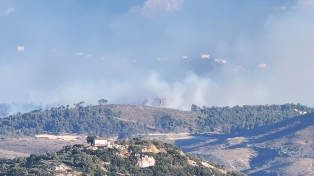 Zjarr i fuqishëm në Stamata të Greqisë, raportohet një i vdekur! Vijojnë evakuimet, rrezikohen shtëpitë