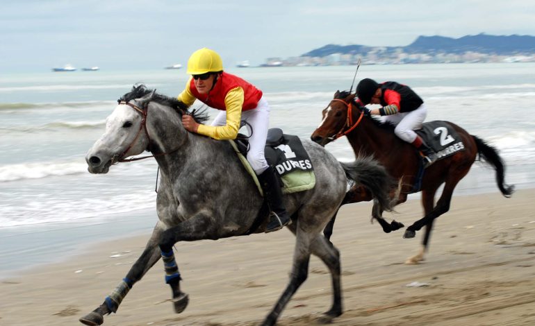 Mungesa e një hipodromi mban peng zhvillimin e hipizmit në Shqipëri