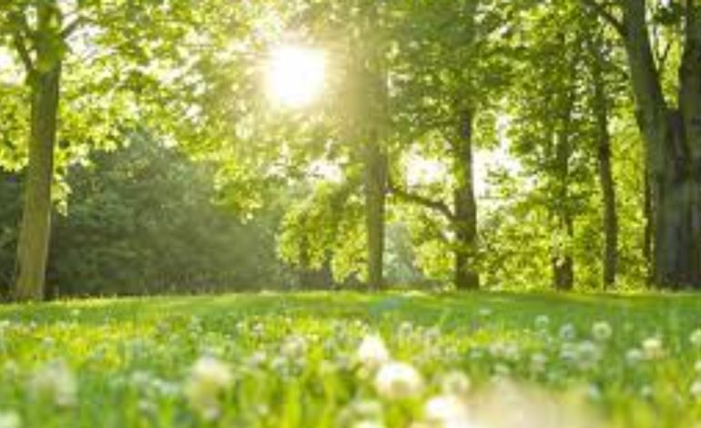 Fundjava me mot të qëndrueshëm dhe të ngrohtë! Si parashikohen temperaturat									
									 15/06/2024 07:00