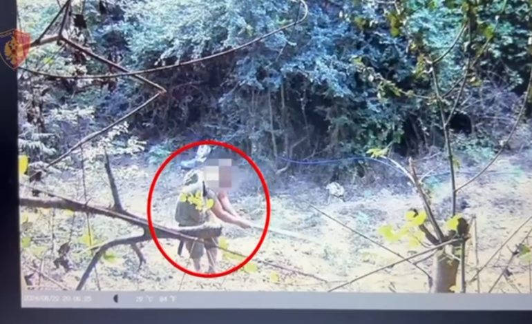 Parcelë me kanabis në mes të pyllit, arrestohen tre vëllezërit në Durrës