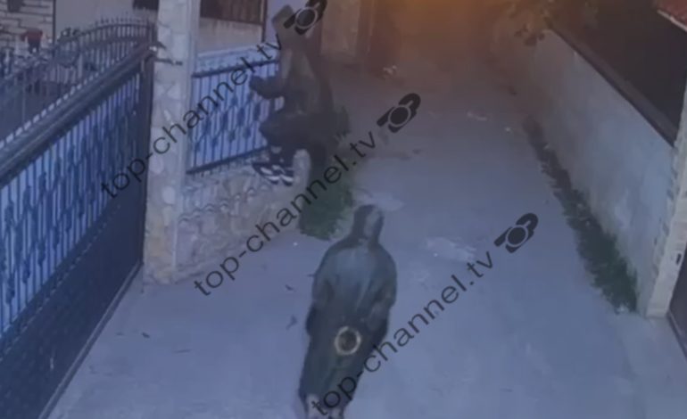 Me pelerina të zeza/ Momenti kur dy autorët kapërcejnë murin rrethues dhe vendosin tritolin në banesën e efektivit! Pamje nga kamera e sigurisë