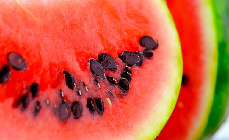 Farat e Shalqinit – Burim Vitaminash për Organizmin