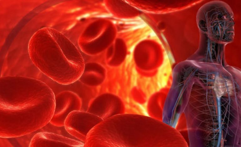 Si Ndikojnë Temperaturat e Nxehta tek Tensioni i Gjakut