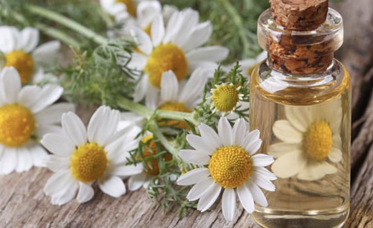 Freski dhe Energji – 5 Vajrat më të Mirë Esencialë për Stinën e Verës