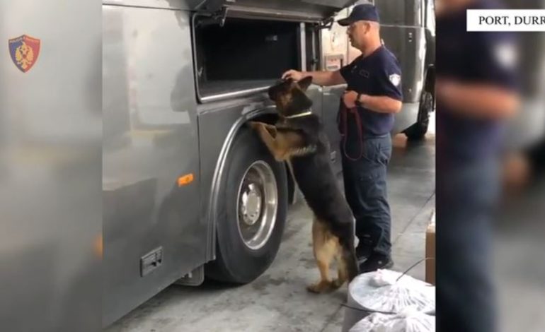 Tentuan të fusnin në Shqipëri afër 40 mijë euro të padeklaruara, arrestohen katër persona në Portin e Durrësit