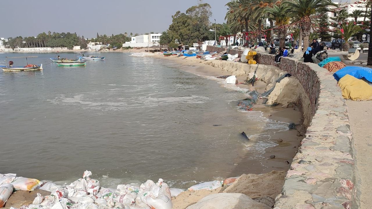 Deti përpin rërën në Tunizi, përpjekje të dëshpëruara për të ndaluar erozionin