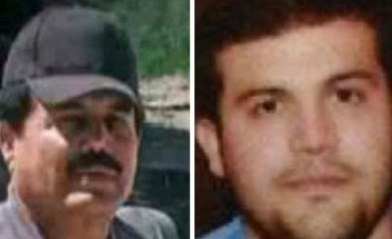 Arrestohen në Teksas dy udhëheqës të trafikut të drogës, mes tyre një prej djemve të “El Çapos”