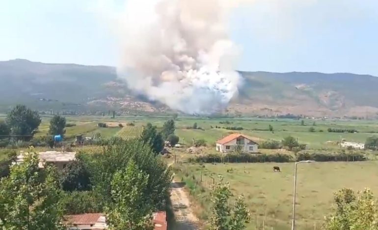 Zjarr në malin e Rrencit në Lezhë, mbërrin zjarrfikësja! Era ndihmon në përhapjen e flakëve