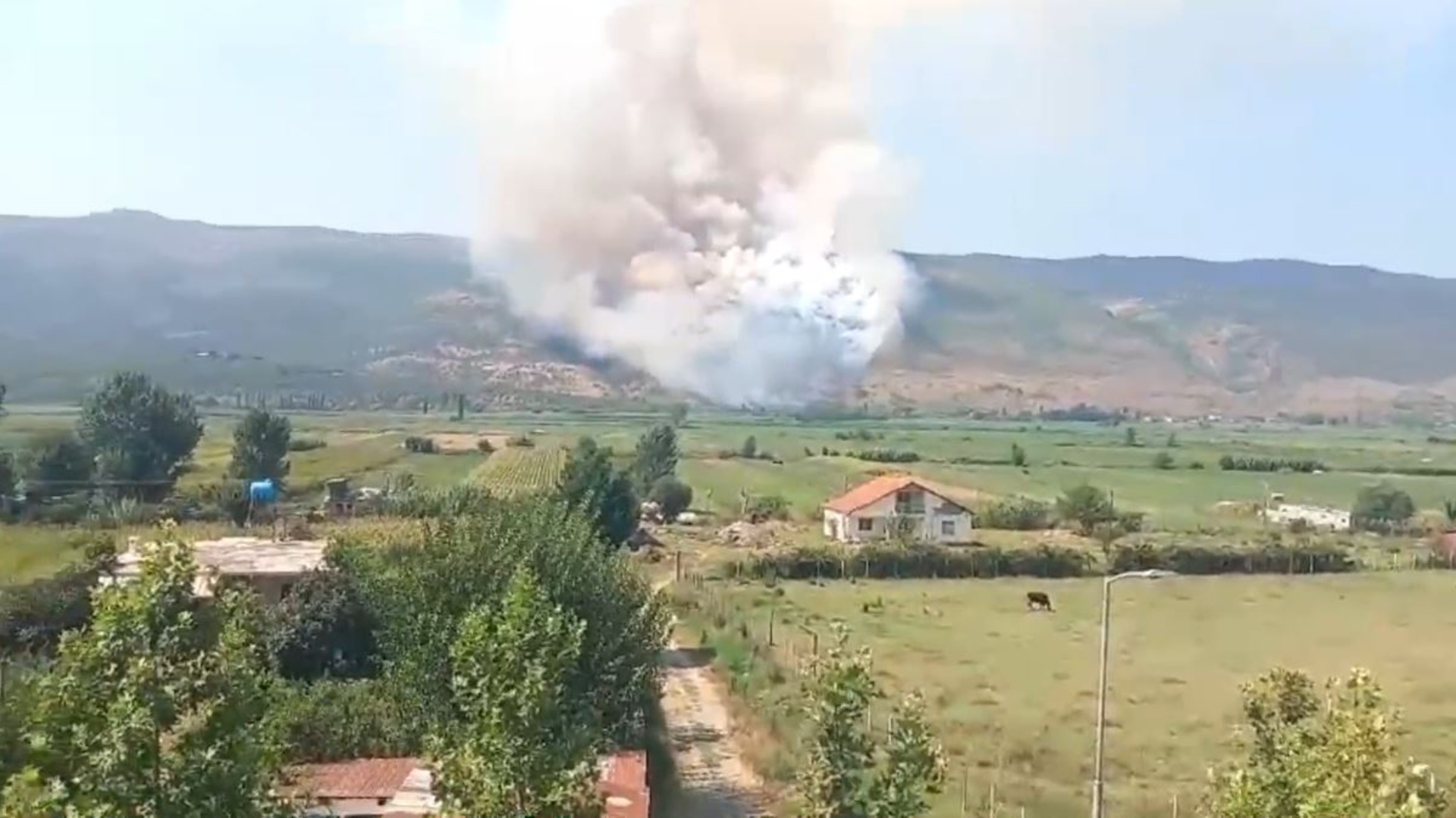 Zjarr në malin e Rrencit në Lezhë, mbërrin zjarrfikësja! Era ndihmon në përhapjen e flakëve