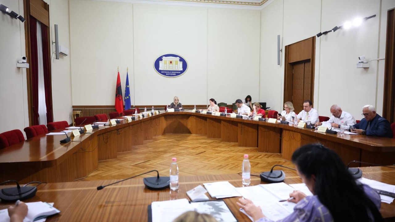 Lajm i fundit/ Shtyhet afati për komisionin hetimor të Sterilizimit 